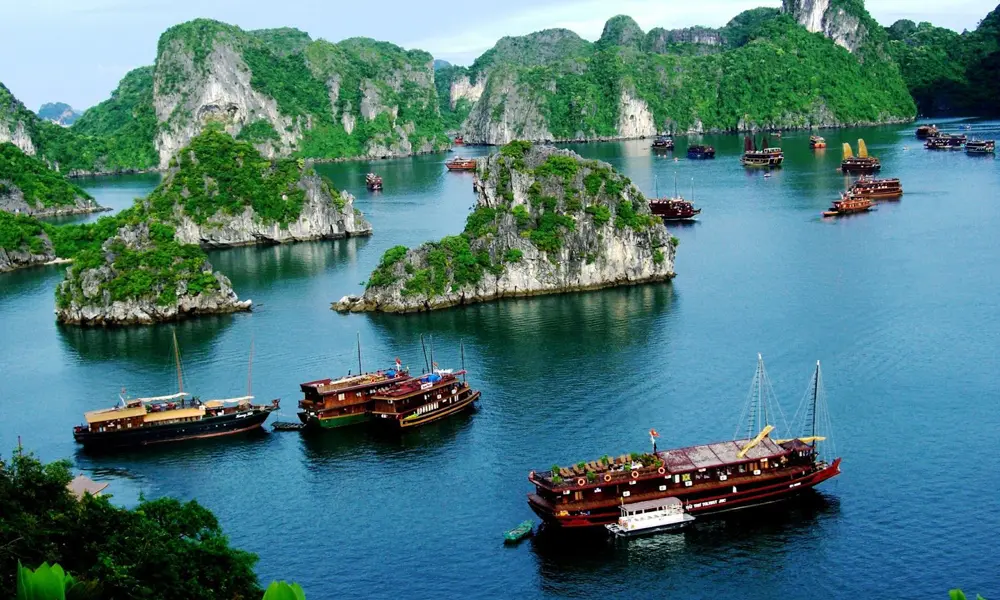 cac-yeu-cau-co-ban-de-mo-cong-ty-lu-hanh-quoc-te