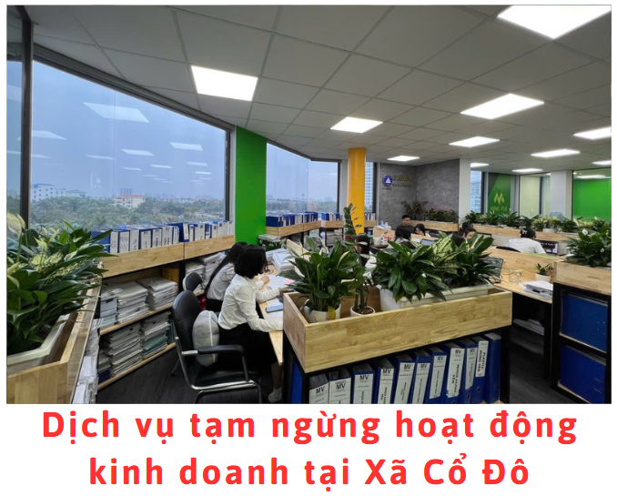 dich-vu-tam-ngung-hoat-dong-kinh-doanh-tai-xa-co-do