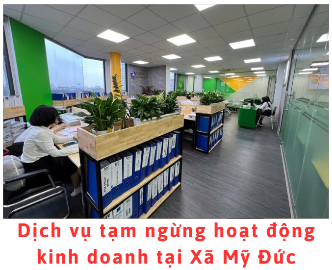 dich-vu-tam-ngung-hoat-dong-kinh-doanh-tai-xa-my-duc.png