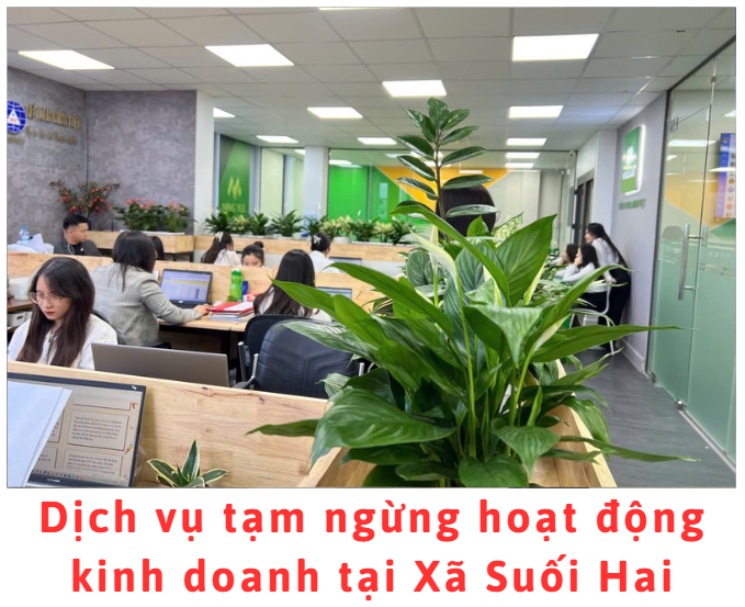 dich-vu-tam-ngung-hoat-dong-kinh-doanh-tai-xa-suoi-hai